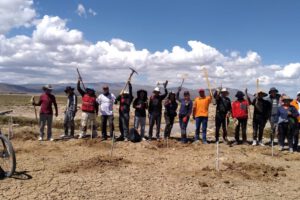 Voluntarios se suman al proyecto Murallas de Árboles para proteger el lago Uru Uru
