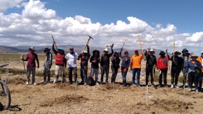 Voluntarios se suman al proyecto Murallas de Árboles para proteger el lago Uru Uru