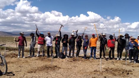Voluntarios se suman al proyecto Murallas de Árboles para proteger el lago Uru Uru