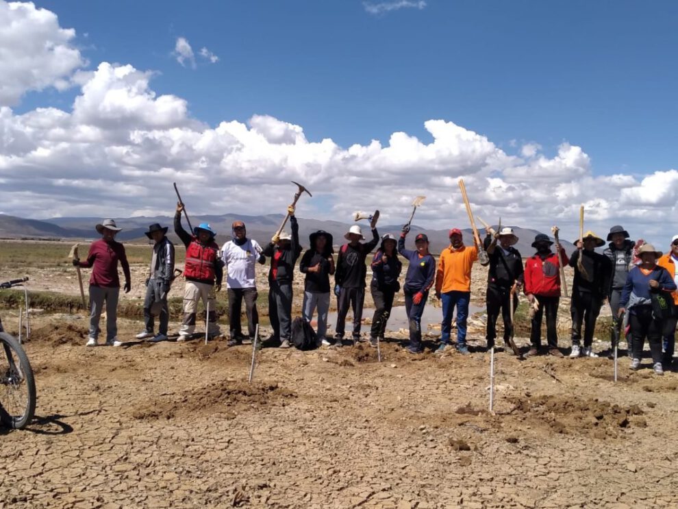 Voluntarios se suman al proyecto Murallas de Árboles para proteger el lago Uru Uru