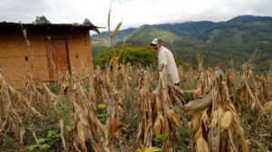 Inseguridad alimentaria en Colombia