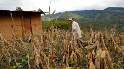Inseguridad alimentaria en Colombia