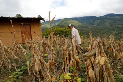 Inseguridad alimentaria en Colombia