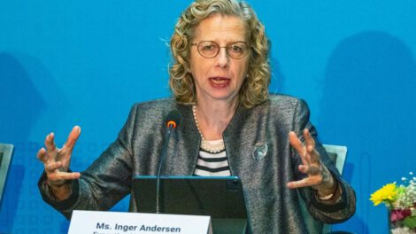 Contaminación plástica y su impacto en el medio ambiente