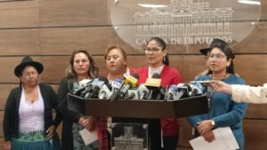 Falta de sesiones en Diputados: Lina Canaviri critica a Israel Huaytari
