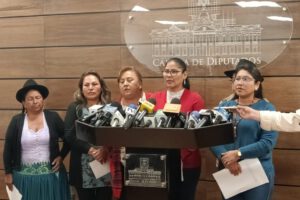 Falta de sesiones en Diputados: Lina Canaviri critica a Israel Huaytari