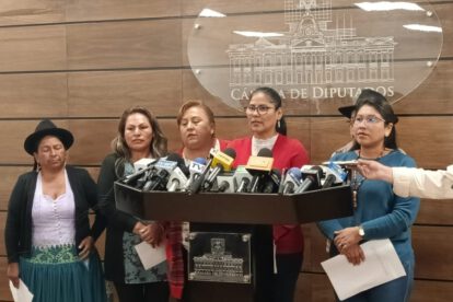 Falta de sesiones en Diputados: Lina Canaviri critica a Israel Huaytari