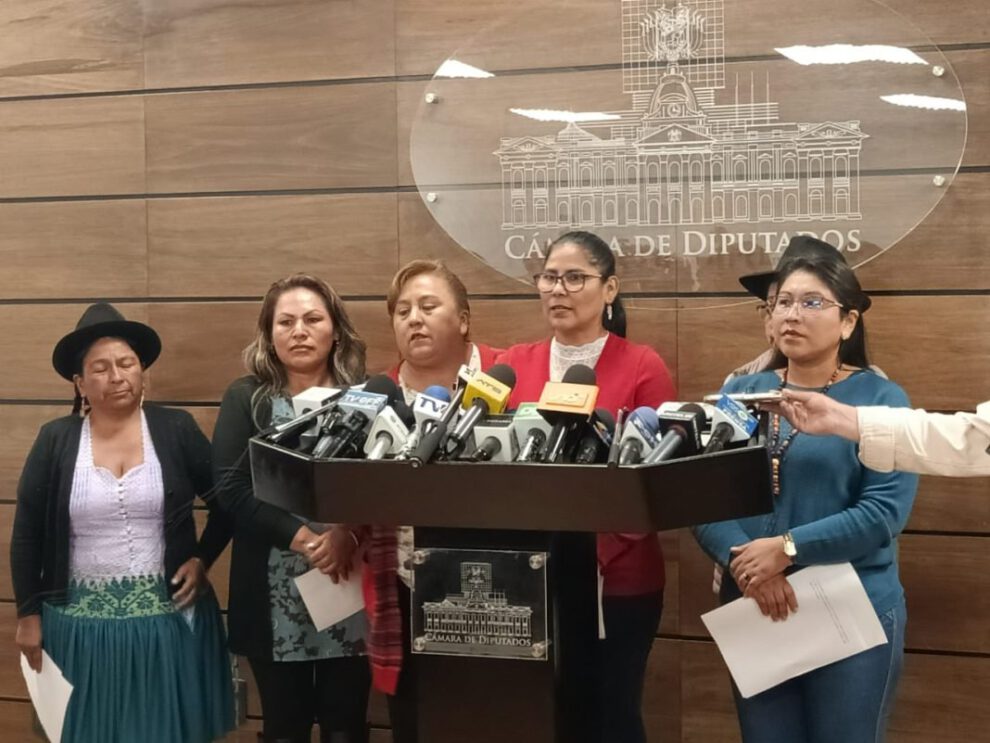 Falta de sesiones en Diputados: Lina Canaviri critica a Israel Huaytari