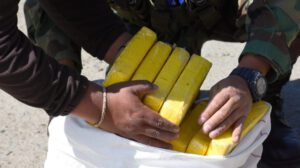 Decomiso de cocaína en Oruro