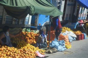patógeno desconocido impacta producción de cítricos