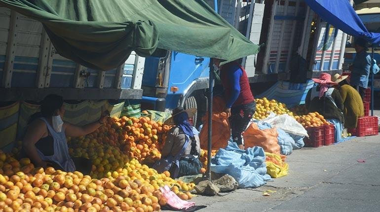 patógeno desconocido impacta producción de cítricos