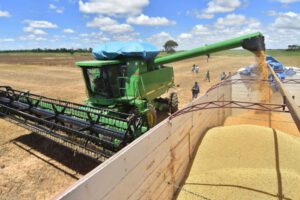 Crecimiento económico sector agropecuario