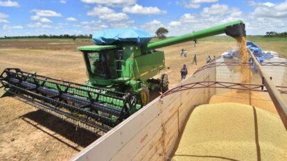 Crecimiento económico sector agropecuario