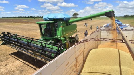 Crecimiento económico sector agropecuario