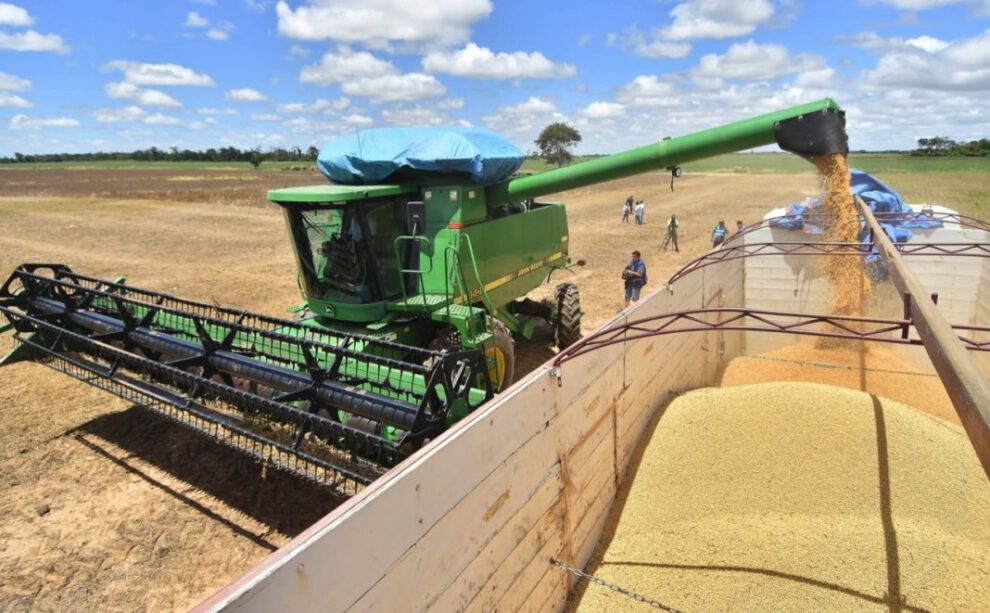 Crecimiento económico sector agropecuario