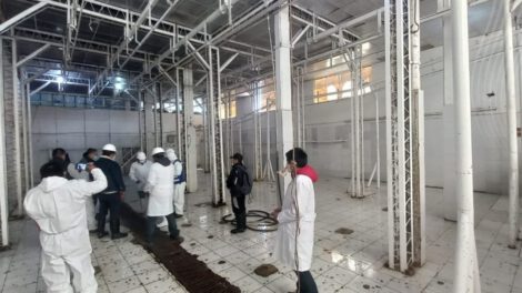 Inspección matadero Unión Gremial en Vinto