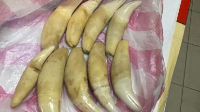 Dos mujeres con colmillos de jaguar en Trinidad