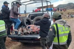 Rayo mata a cuatro integrantes de una familia en Quellu-Quellu