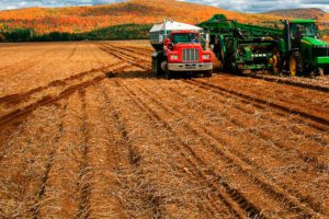 Productividad agrícola en Bolivia aumenta gracias a prácticas de nutrición