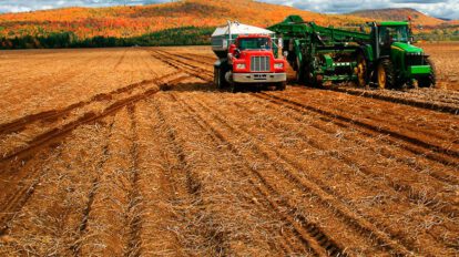 Productividad agrícola en Bolivia aumenta gracias a prácticas de nutrición