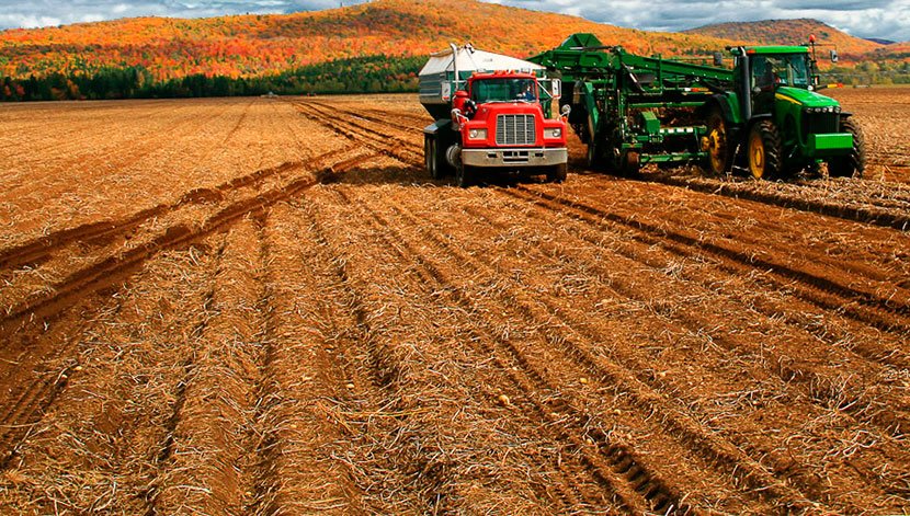 Productividad agrícola en Bolivia aumenta gracias a prácticas de nutrición