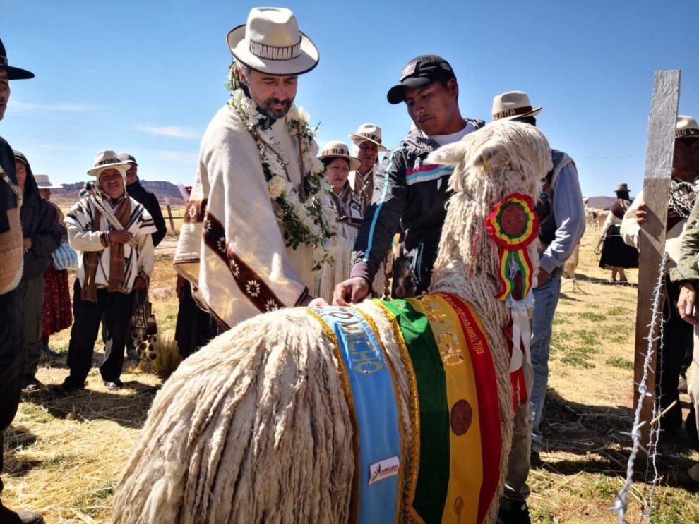 Gobierno destina Bs. 170 millones a familias productoras de camélidos