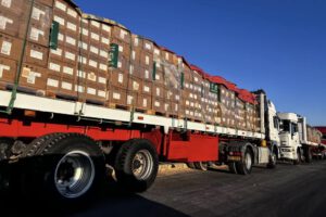 Ayuda humanitaria a Gaza en camiones varados en Egipto