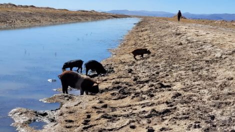 Contaminación minera en Huanuni