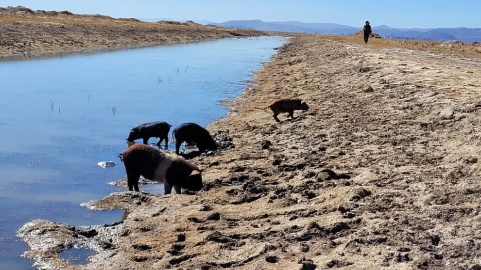 Contaminación minera en Huanuni