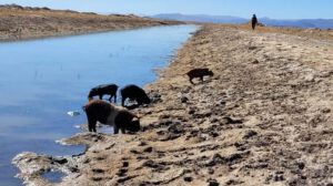 Contaminación minera en Huanuni