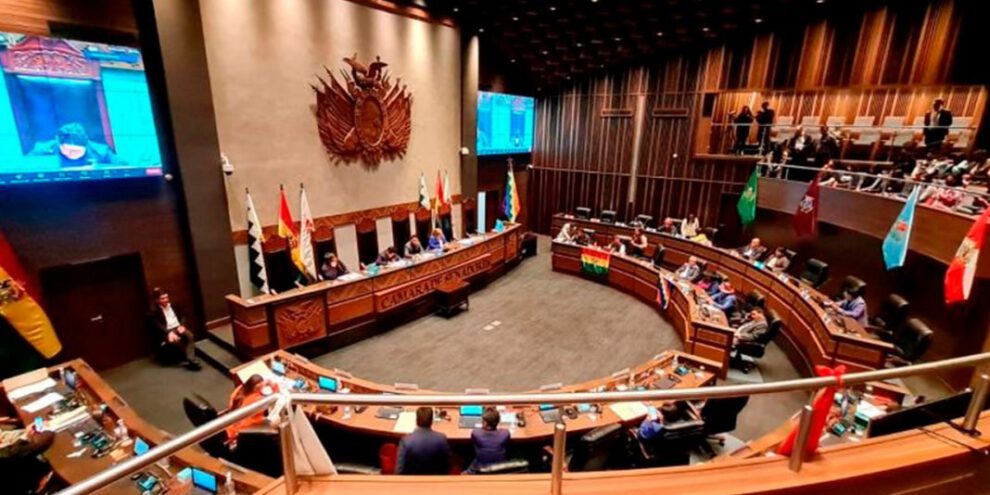 elecciones judiciales en la Cámara de Senadores