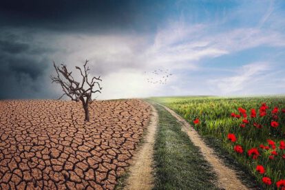 Cambio climático y comercio agroalimentario en América Latina