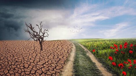 Cambio climático y comercio agroalimentario en América Latina