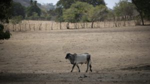 Desastre climático en América Latina y el Caribe durante el 2023