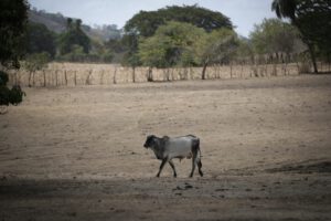Desastre climático en América Latina y el Caribe durante el 2023