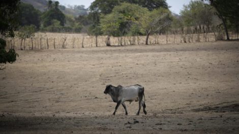 Desastre climático en América Latina y el Caribe durante el 2023