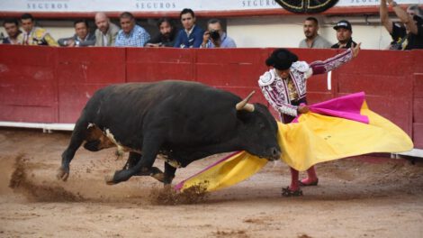 corridas de toros en Ciudad de México