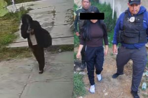 Estudiante desaparecida encontrada sana y salva