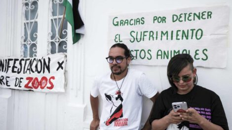 Cierre de zoológicos en Costa Rica