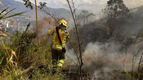 Crisis alimentaria en América Latina y el Caribe