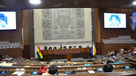 Choquehuanca solicita adelanto de sorteo de causa y resolución de la acción de defensa sobre las elecciones judiciales