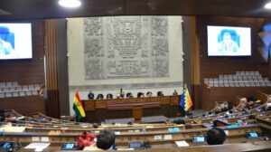 Choquehuanca solicita adelanto de sorteo de causa y resolución de la acción de defensa sobre las elecciones judiciales