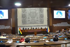 Choquehuanca solicita adelanto de sorteo de causa y resolución de la acción de defensa sobre las elecciones judiciales