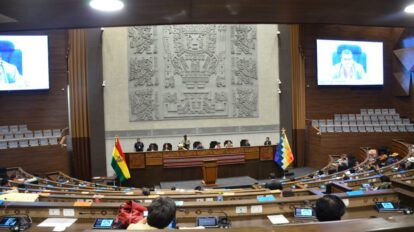 Choquehuanca solicita adelanto de sorteo de causa y resolución de la acción de defensa sobre las elecciones judiciales