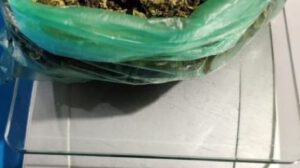 Marihuana en penal de San Pedro