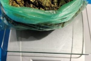 Marihuana en penal de San Pedro