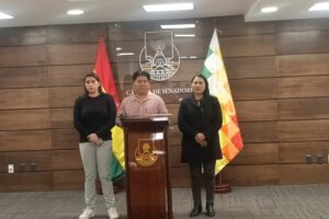 denuncia ante la ONU sobre independencia de poderes en Bolivia