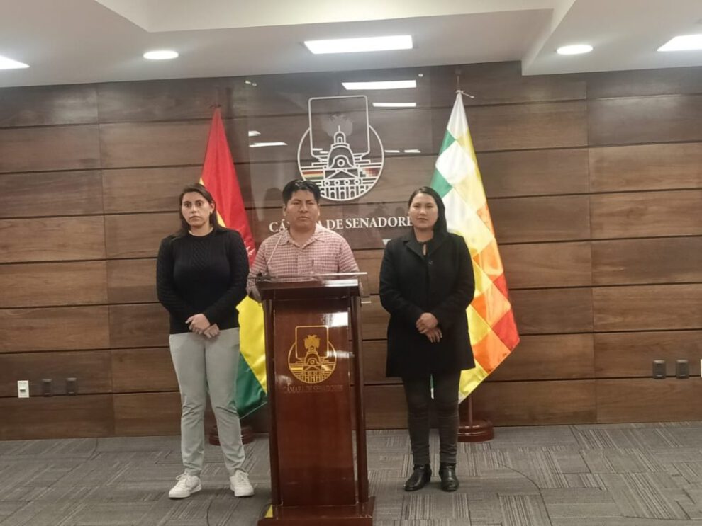 denuncia ante la ONU sobre independencia de poderes en Bolivia