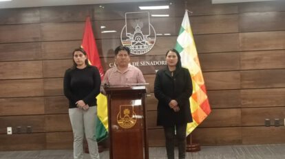 Denuncia ante la ONU sobre independencia de poderes en Bolivia