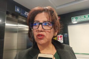 Ley corta elecciones judiciales según Ana María Castillo